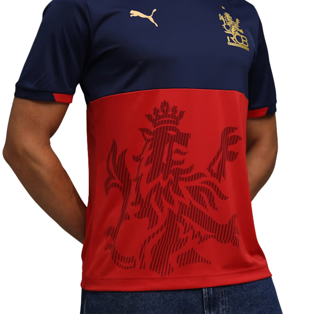PUMA RCB Takedown Tee 2026 V-Neck T-Shirt for Men | Lightweight Polyester Fabric with dryCELL Technology & Official RCB Branding for Fan Wear - Best Price online Prokicksports.com