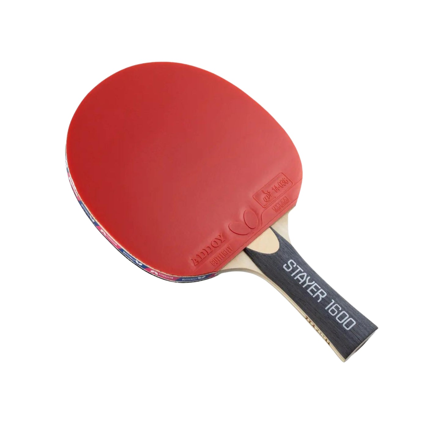 Butterfly Stayer 1600 Table Tennis set (1 TT Bat + 2 Balls) - Best Price online Prokicksports.com
