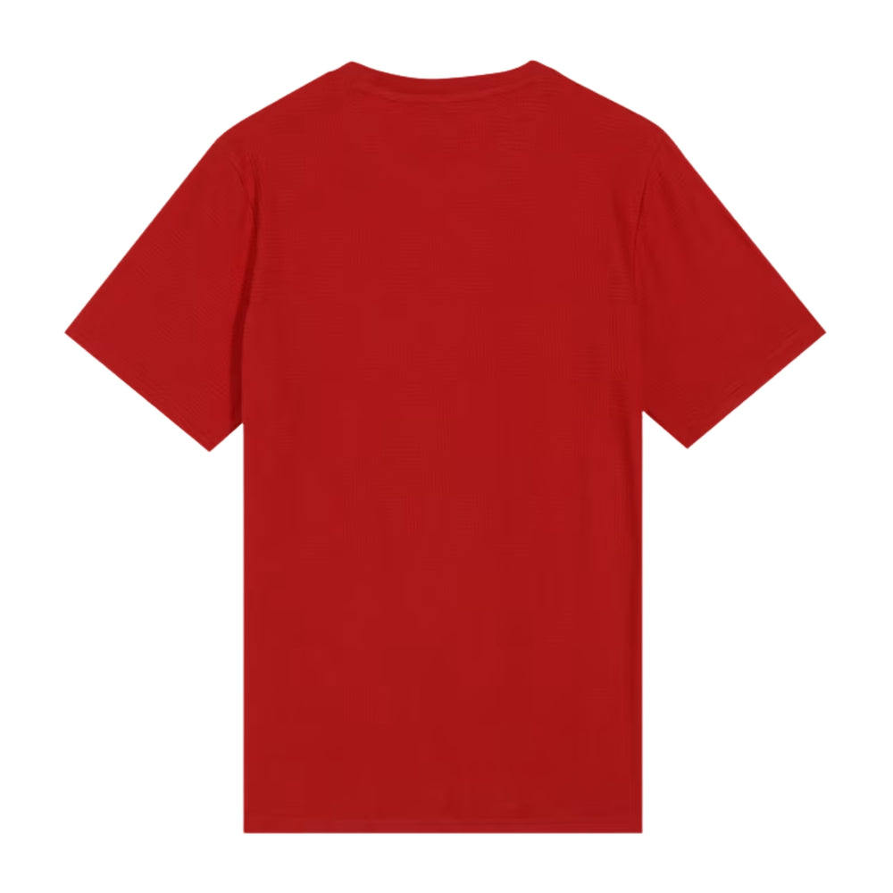 PUMA x RCB Jacquard Tee Round Neck T-Shirt for Men | Premium Jacquard Fabric with dryCELL Technology, Official RCB Branding & Regular Fit - Best Price online Prokicksports.com