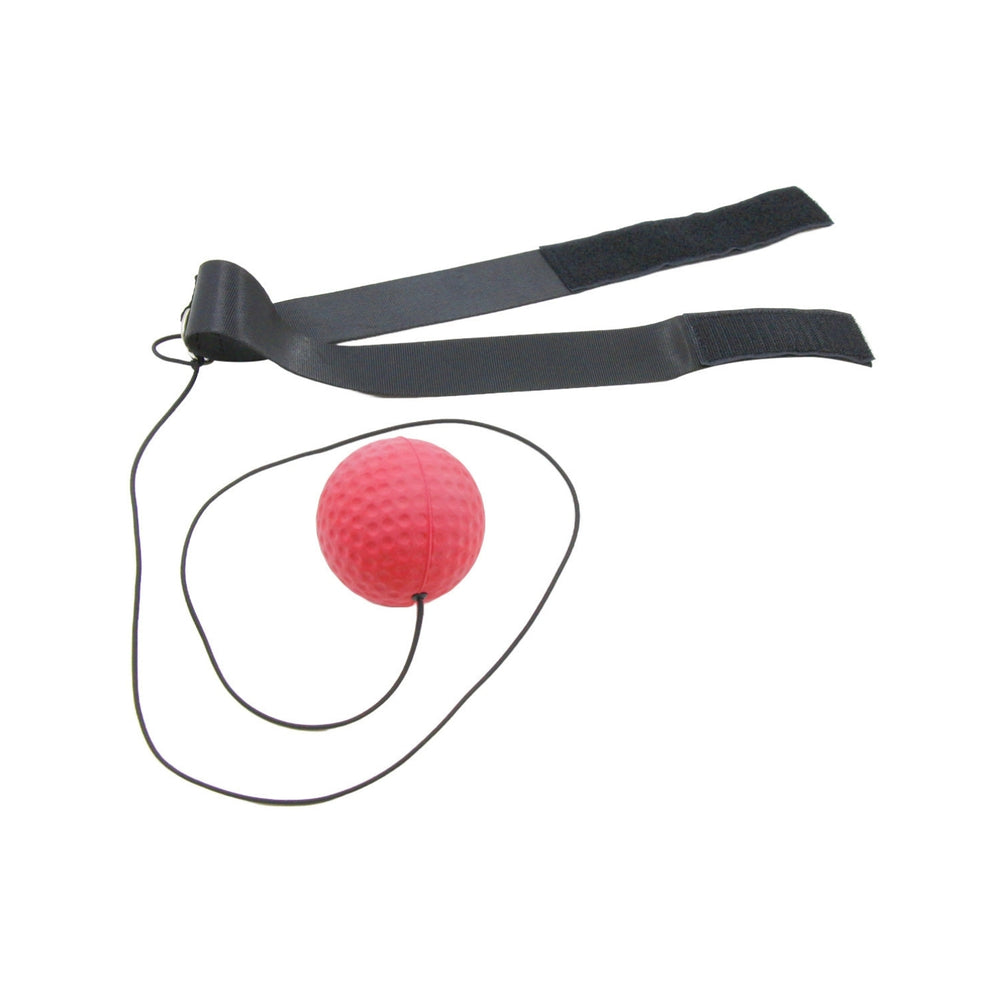 Invincible Boxing Reflex Ball | Improve Speed, Reflexes & Hand-Eye Coordination | Portable Boxing Training Tool - Best Price online Prokicksports.com