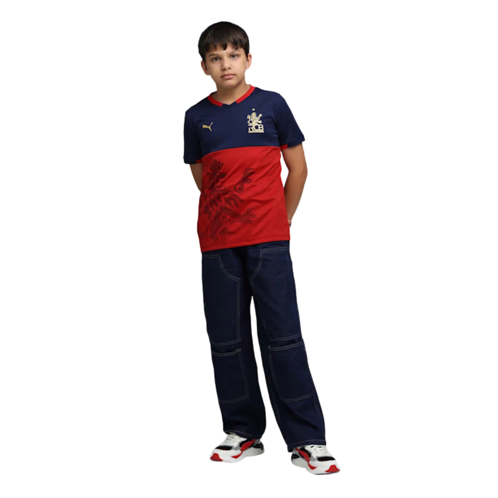 PUMA RCB Takedown Tee 2026 V-Neck T-Shirt for Men | Lightweight Polyester Fabric with dryCELL Technology & Official RCB Branding for Fan Wear - Best Price online Prokicksports.com