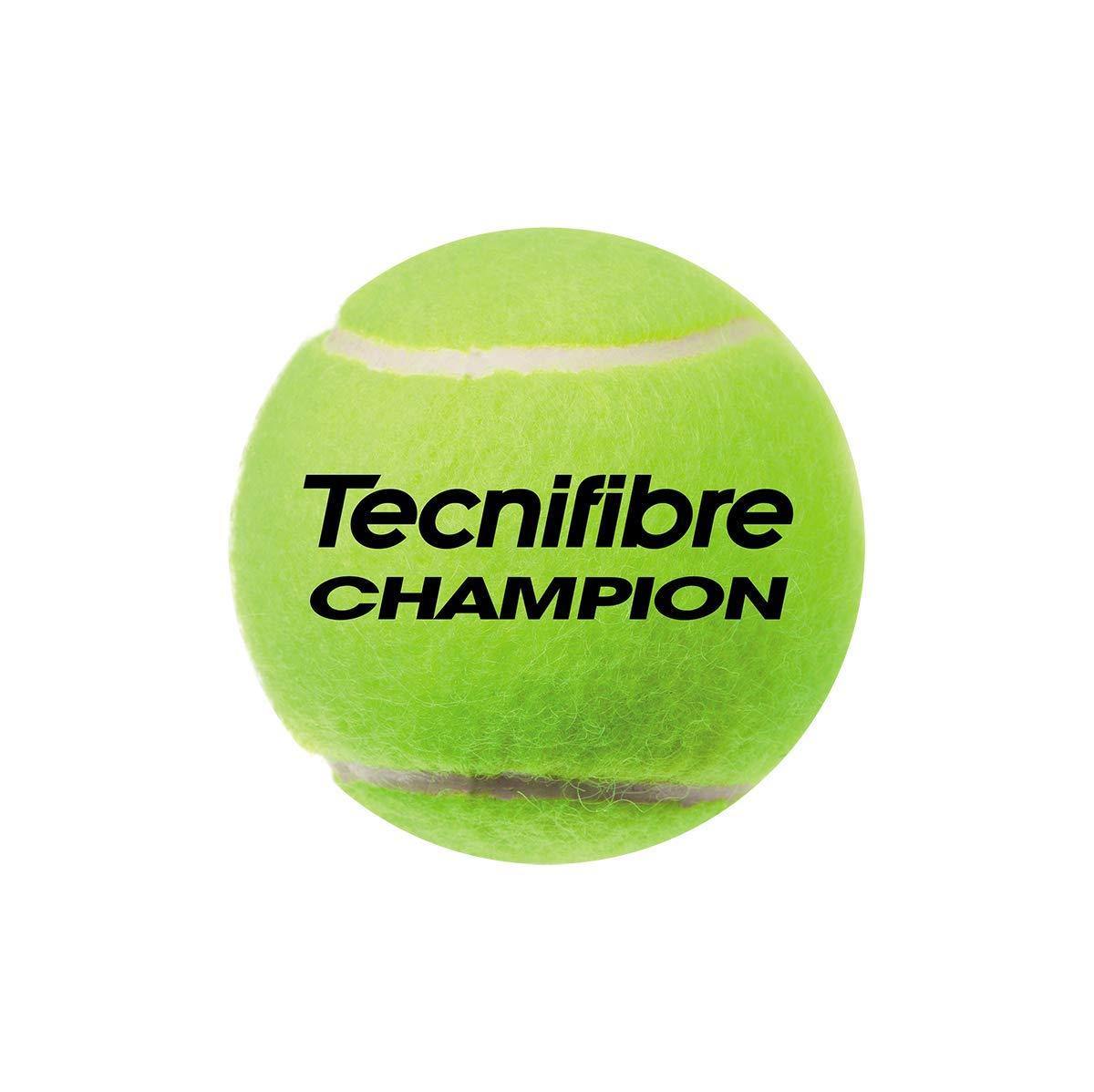 Tecnifibre Champion Balls Carton (24 Cans) - Best Price online Prokicksports.com