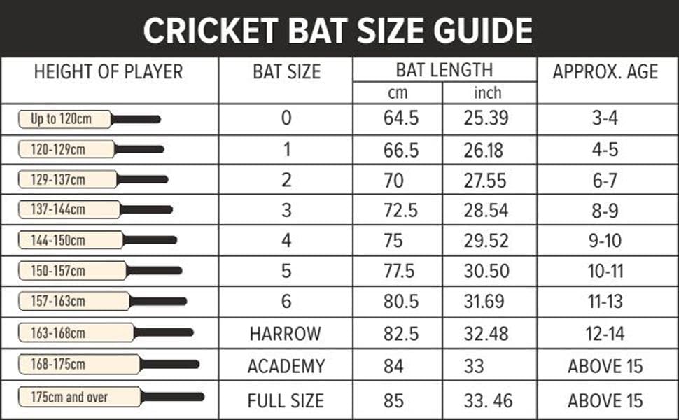 DSC BLU 22 Kashmir Willow Cricket Bat | Extended Power Zone, Massive Edges | Adult