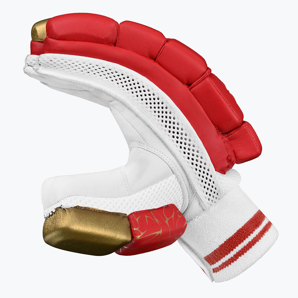 DSC Strike 20/20 Cricket Batting Gloves | Leather Palm, FRP Finger Protection, Multi-Flex | Men's LH