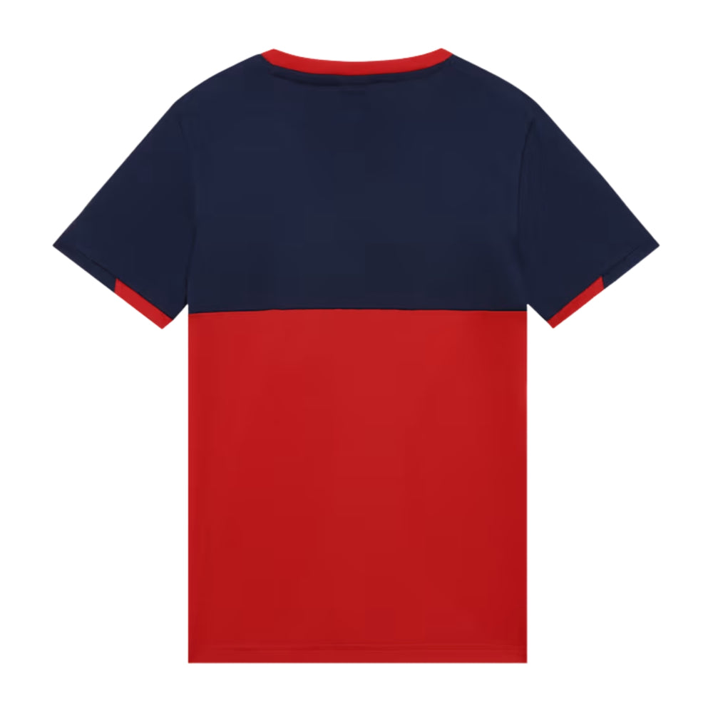 PUMA RCB Takedown Tee 2026 V-Neck T-Shirt for Men | Lightweight Polyester Fabric with dryCELL Technology & Official RCB Branding for Fan Wear - Best Price online Prokicksports.com