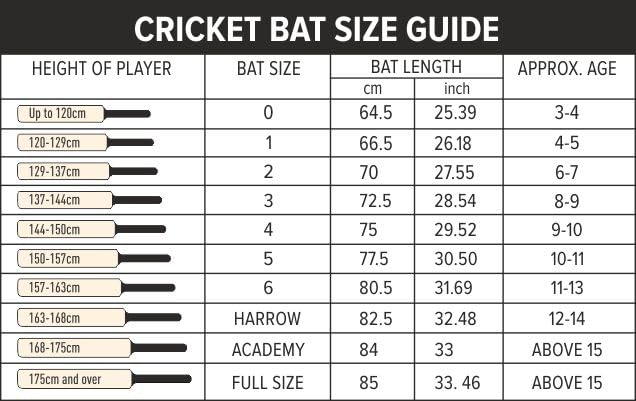 DSC County Super Kashmir Willow Cricket Bat | Short Handle | Size - Mens | Powerful & Durable Bat for All-Round Performance - Best Price online Prokicksports.com