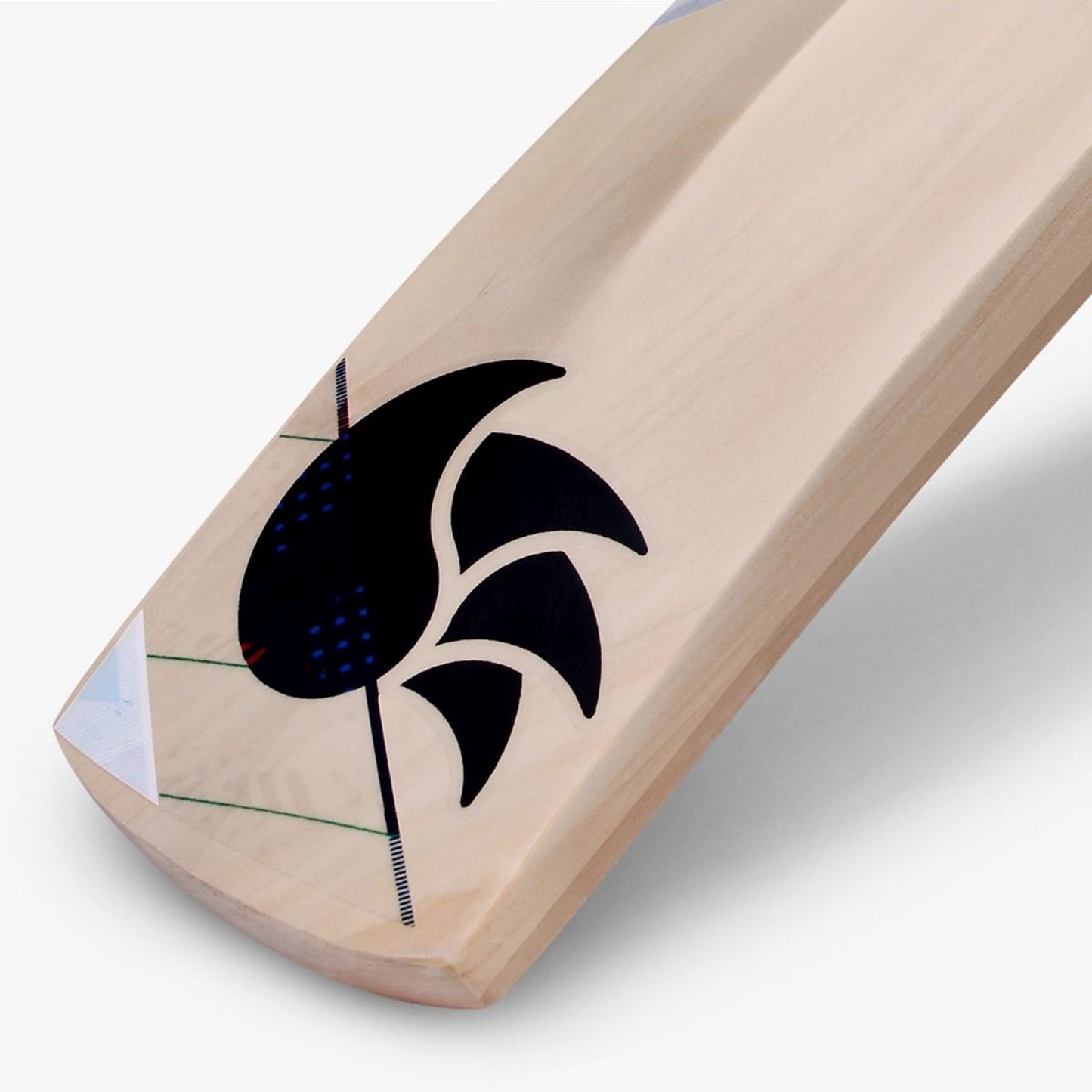 DSC Condor Scud Kashmir Willow Cricket Bat - Best Price online Prokicksports.com