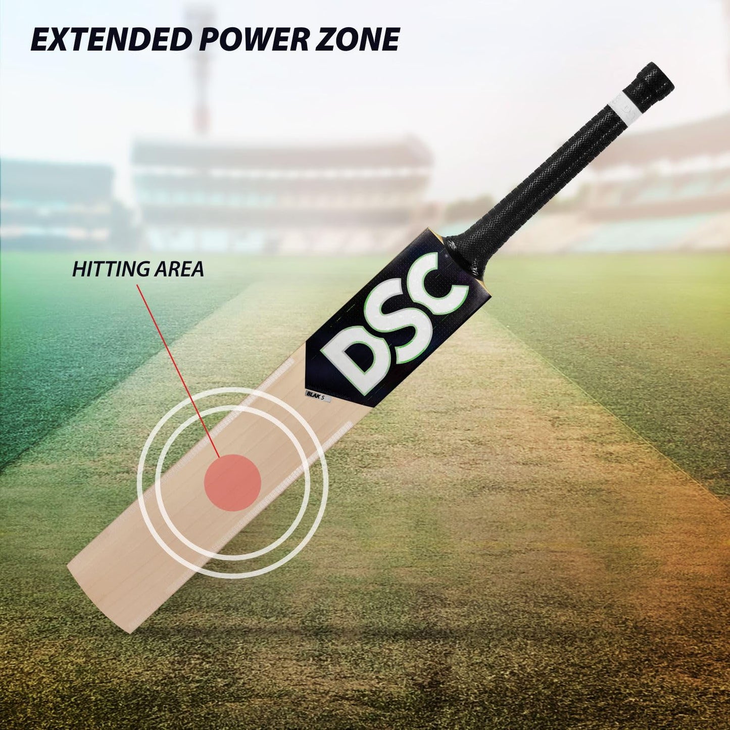 DSC BLAK 5 English Willow Cricket Bat - Best Price online Prokicksports.com
