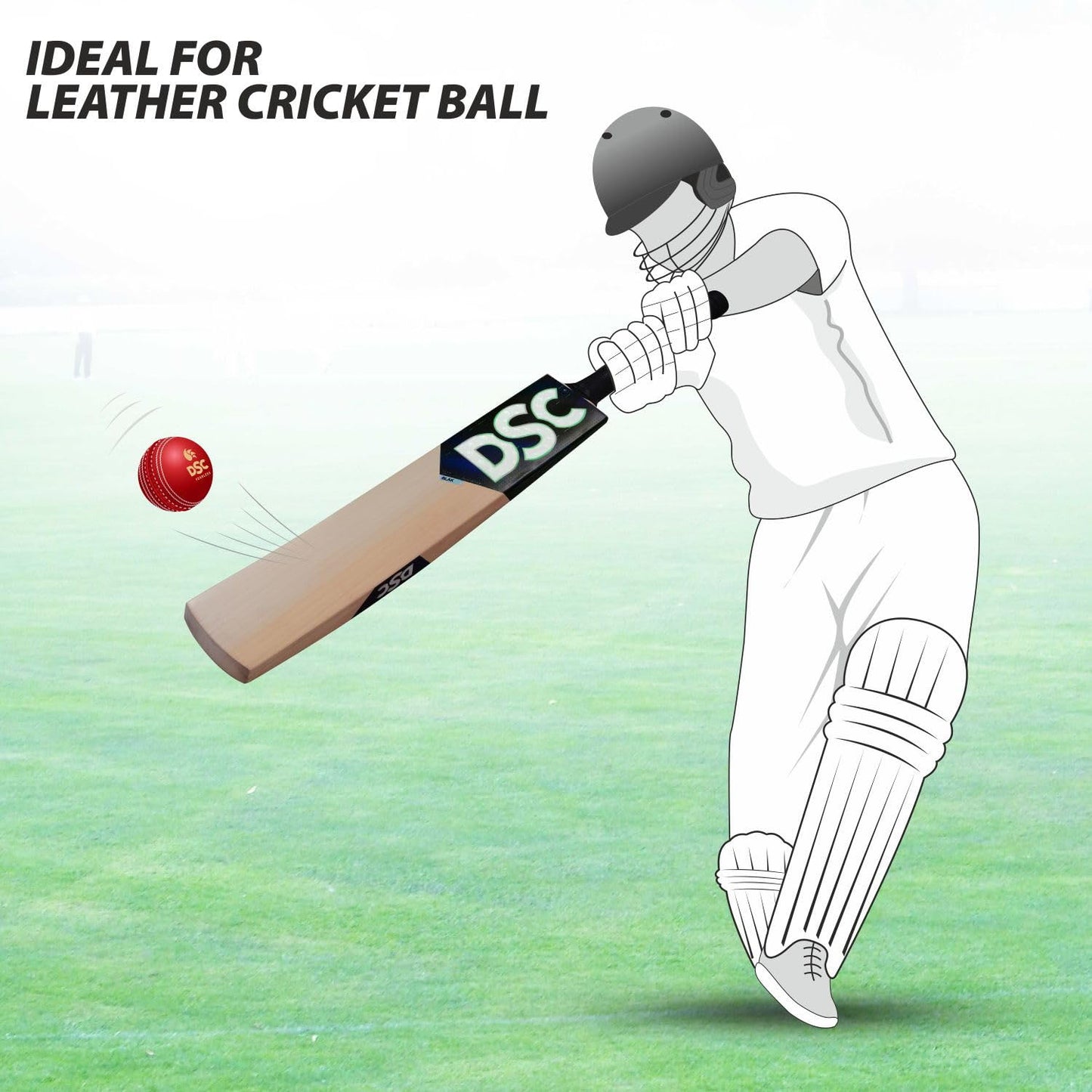 DSC BLAK 5 English Willow Cricket Bat - Best Price online Prokicksports.com