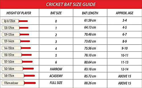 DSC BLAK 5 English Willow Cricket Bat - Best Price online Prokicksports.com