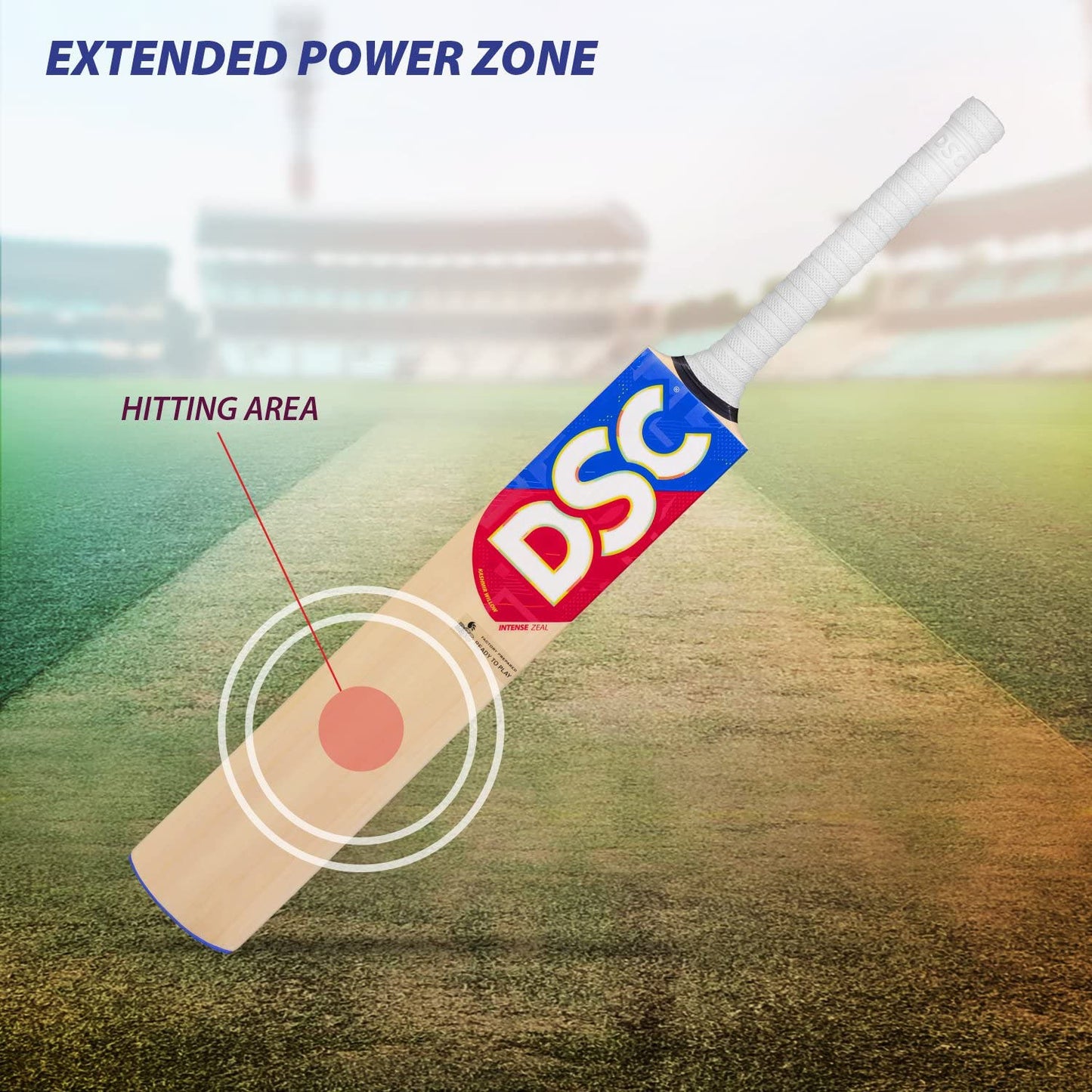 DSC Intense Zeal Kashmir Willow Cricket Bat - Best Price online Prokicksports.com