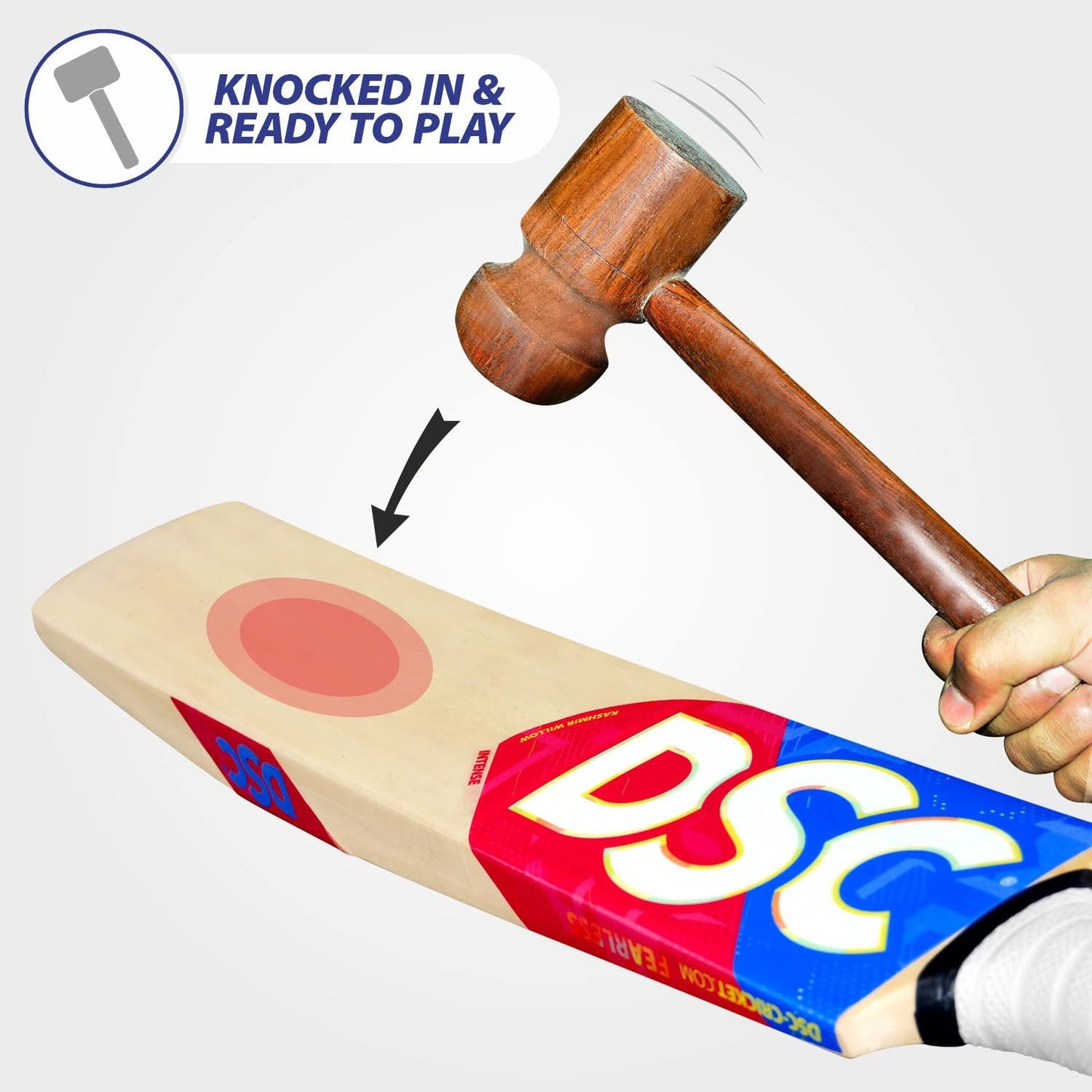 DSC Intense Zeal Kashmir Willow Cricket Bat - Best Price online Prokicksports.com