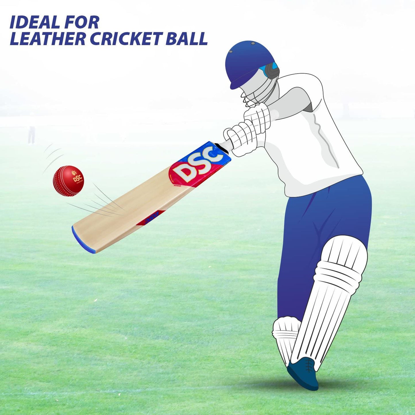 DSC Intense Zeal Kashmir Willow Cricket Bat - Best Price online Prokicksports.com