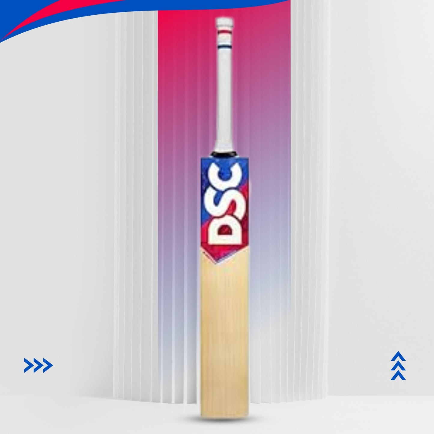 DSC Intense Passion English Willow Professional Cricket Bat - Best Price online Prokicksports.com