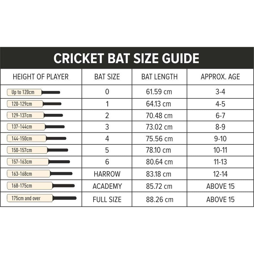 DSC Wildfire Warrior Kashmir Willow Men's Tennis Cricket Bat - SH - Best Price online Prokicksports.com