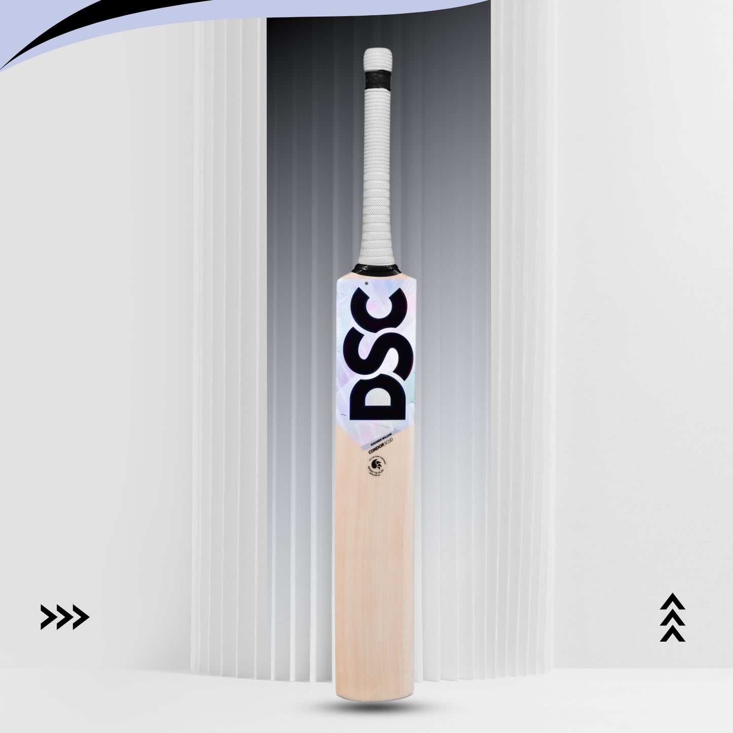 DSC Condor Scud Kashmir Willow Cricket Bat - Best Price online Prokicksports.com