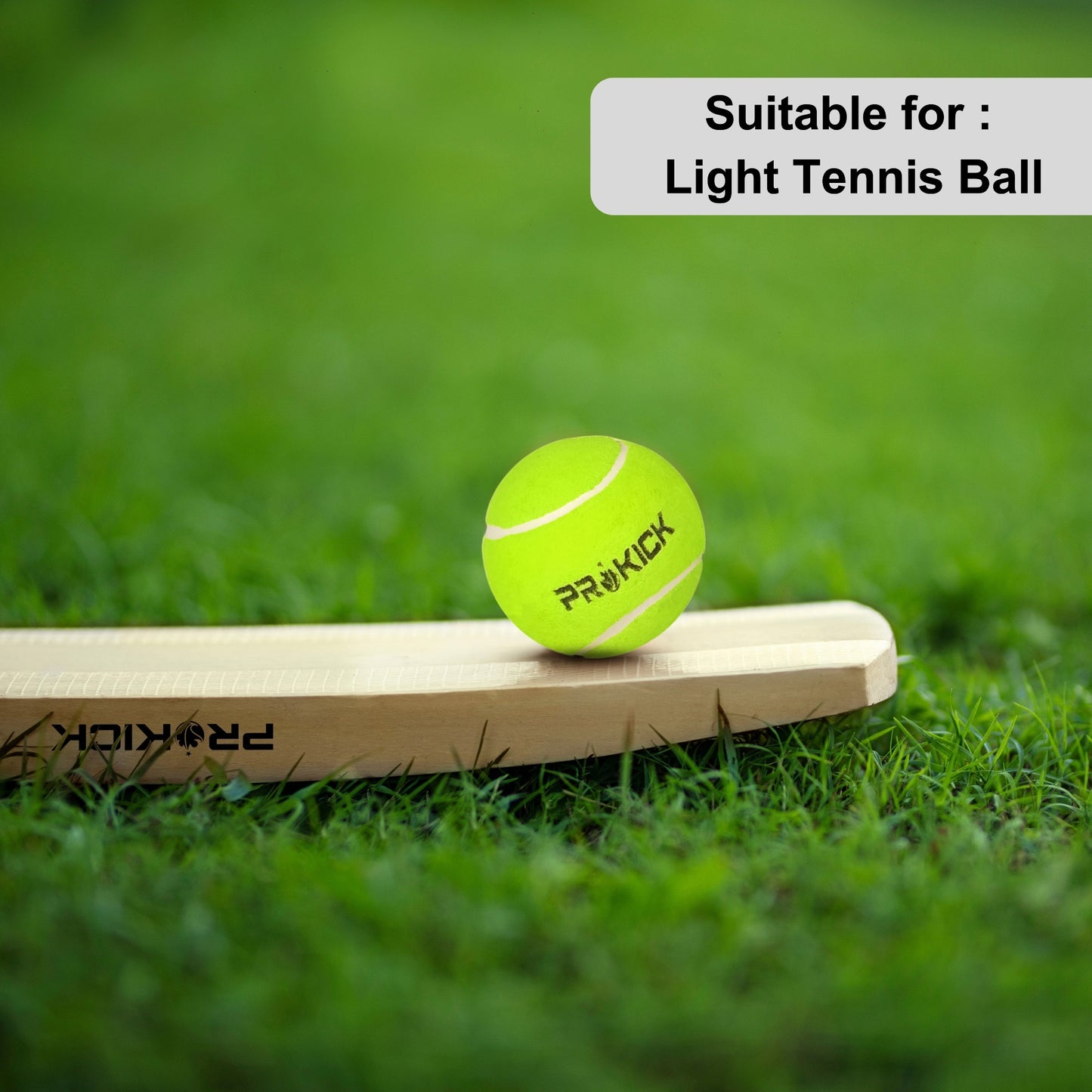 Prokick Domain Indian Willow Cricket Tennis Ball Bat - Best Price online Prokicksports.com