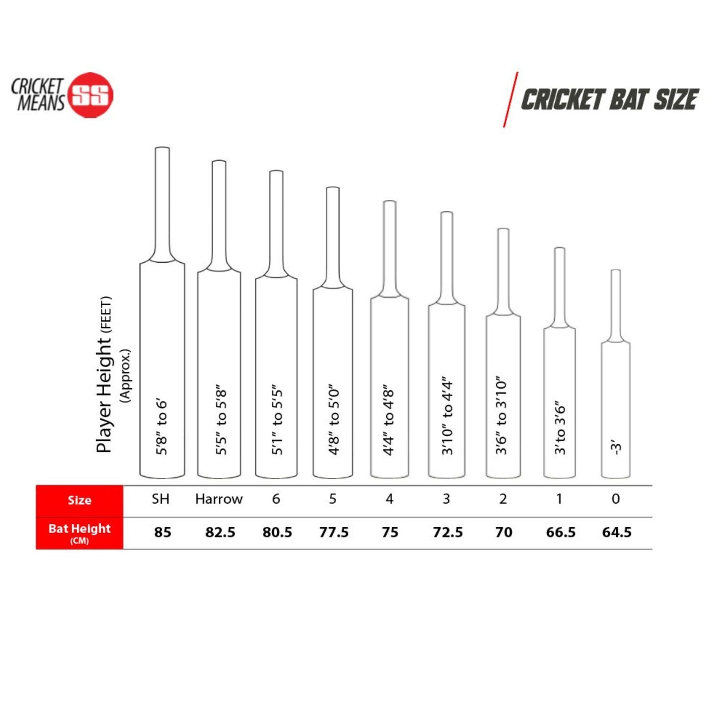 SS Blast English Willow Cricket Bat - Best Price online Prokicksports.com
