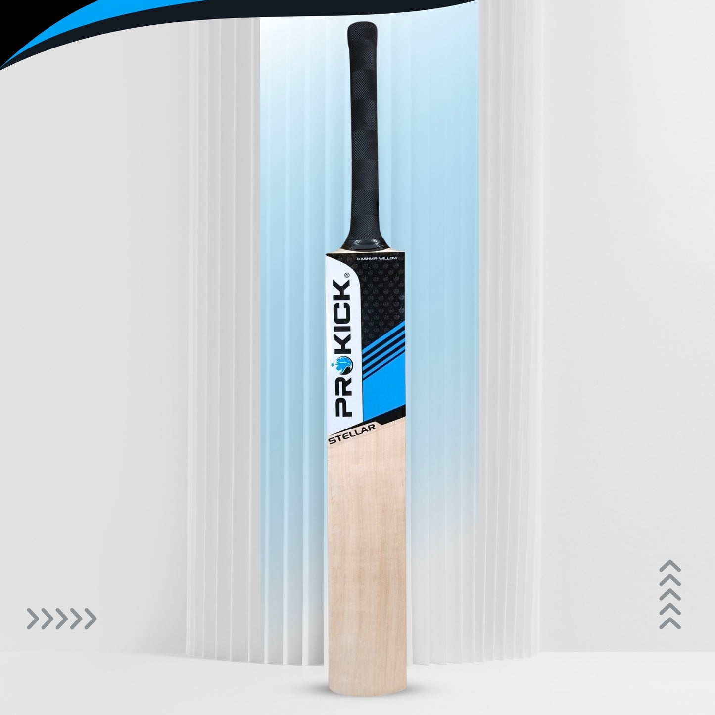 Prokick Stellar Kashmir Willow Cricket Bat - Best Price online Prokicksports.com