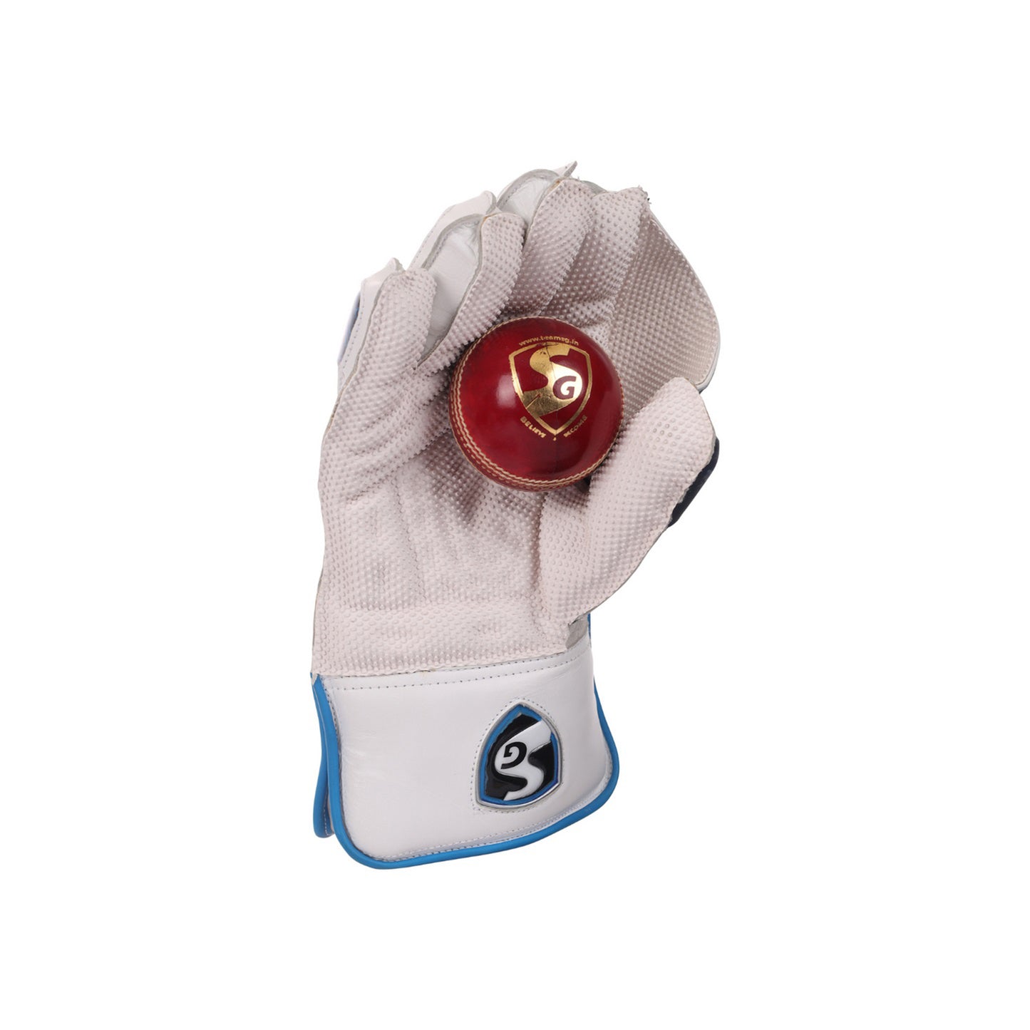 SG RSD Xtreme Wicket Keeping Gloves (Colour May Very) - Best Price online Prokicksports.com