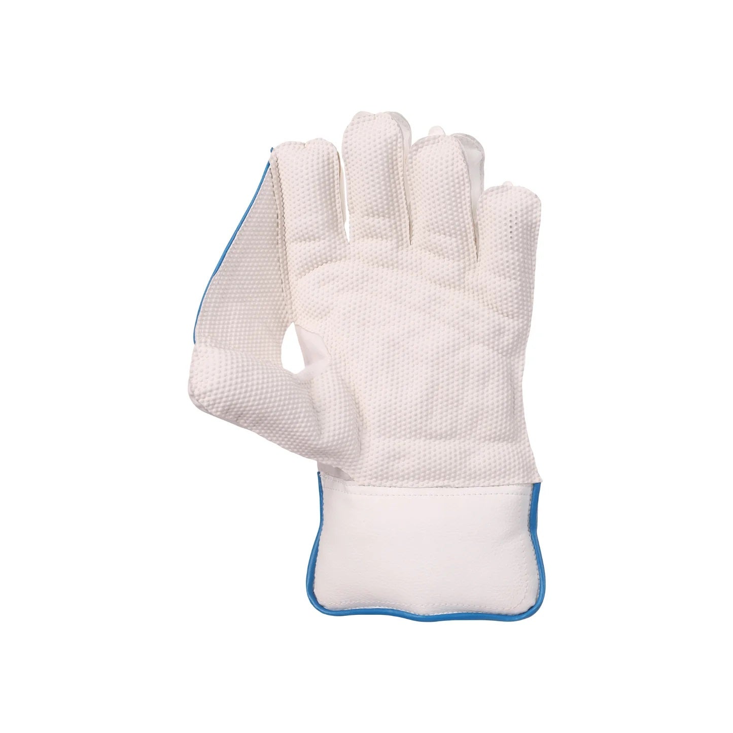 SG Tournament Wicket Keeping Gloves - Best Price online Prokicksports.com