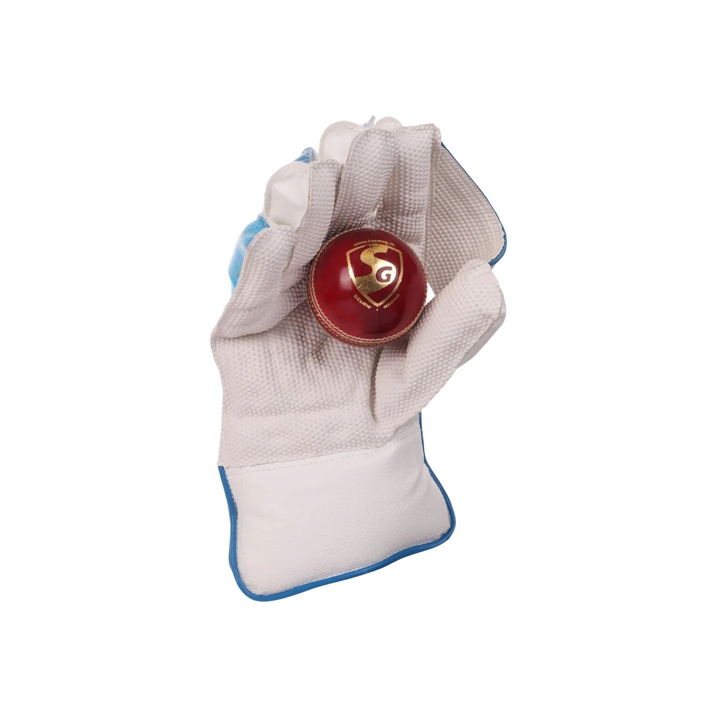 SG Tournament Wicket Keeping Gloves - Best Price online Prokicksports.com