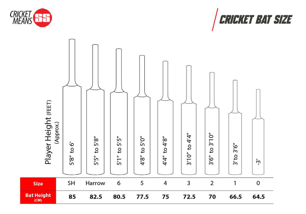 SS Master 100 Kashmir Willow Cricket Bat - Best Price online Prokicksports.com