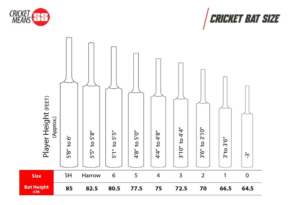 SS Power Play English Willow Cricket Bat - Best Price online Prokicksports.com