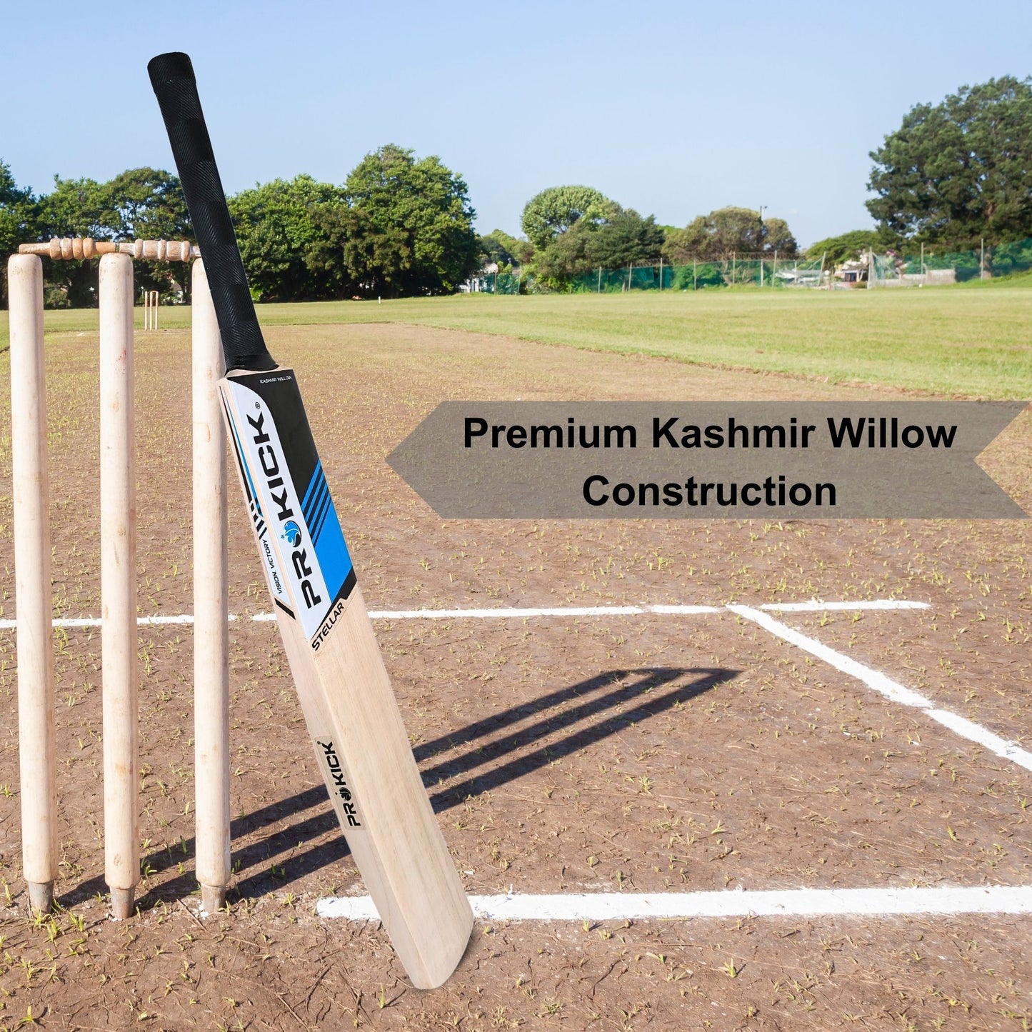 Prokick Stellar Kashmir Willow Cricket Bat - Best Price online Prokicksports.com