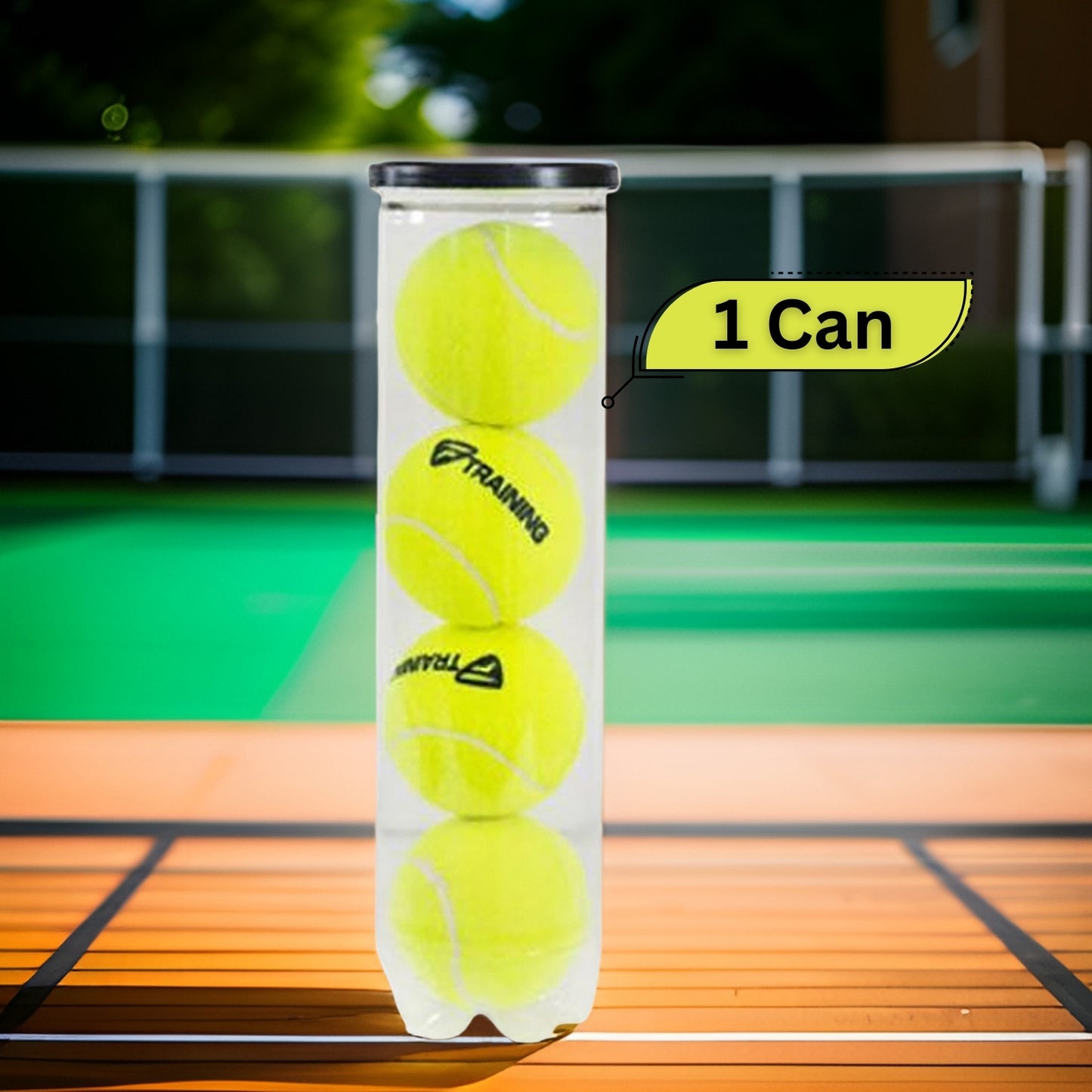 Tecnifibre Training Tennis Balls Can (1 Can) - Best Price online Prokicksports.com
