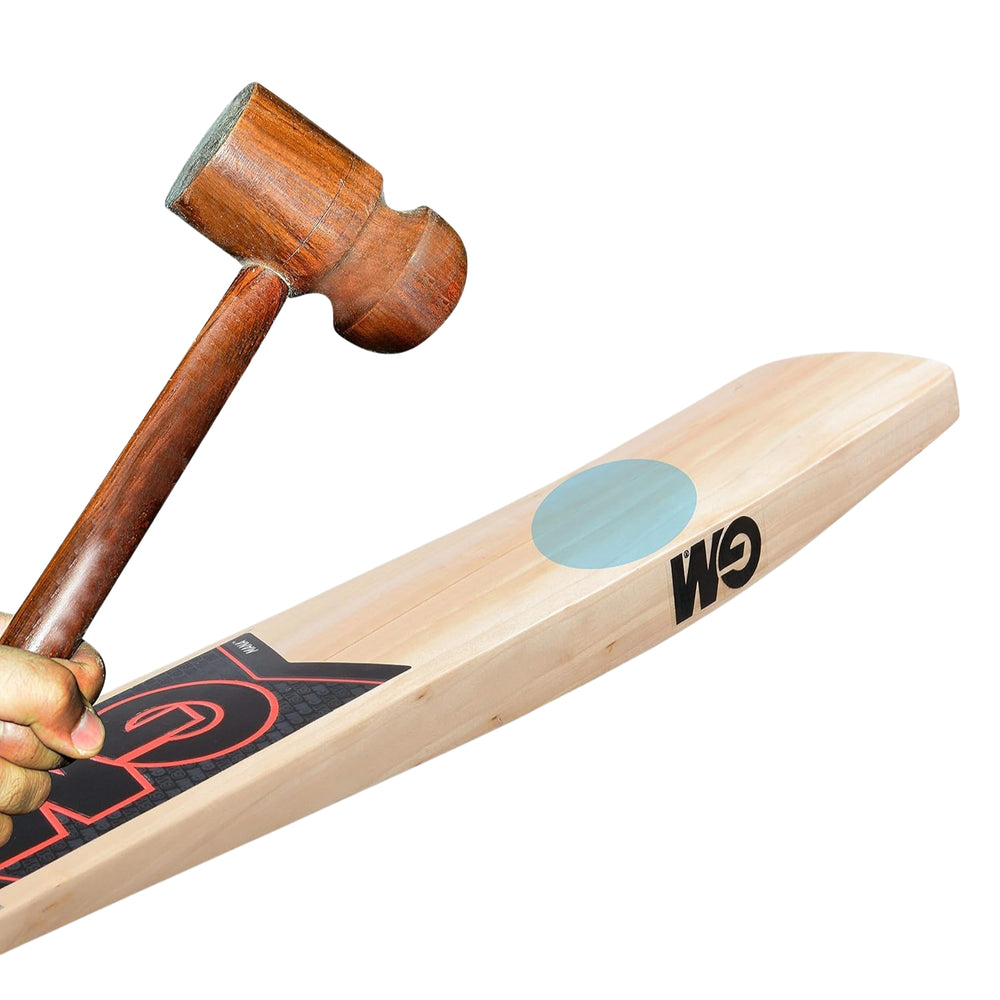 GM Mana Maestro Kashmir Willow Cricket Bat | Lightweight, Durable & Balanced Design | Ideal for All-Round Play - Best Price online Prokicksports.com