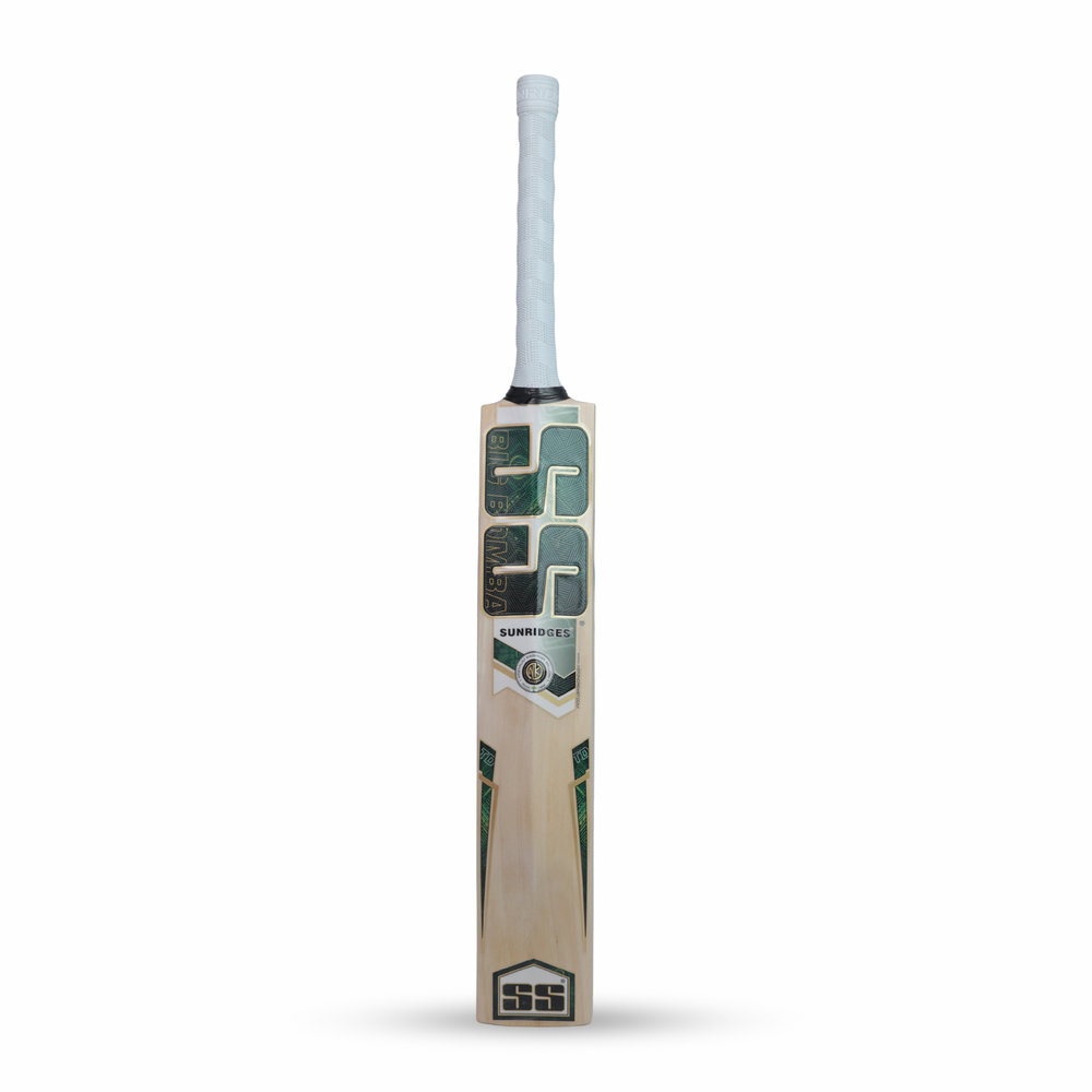 SS Tim David Kashmir Willow Cricket Bat - image 2