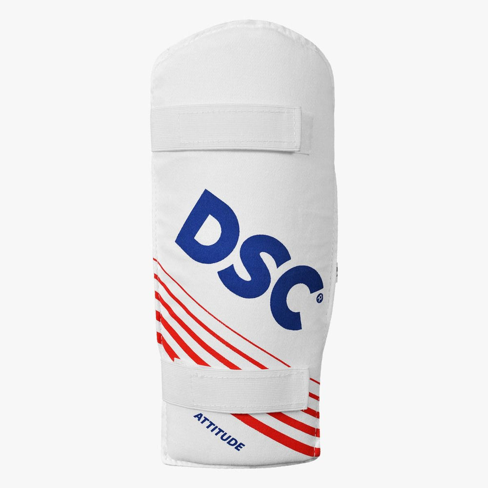 DSC Target Premium Kashmir Willow Cricket Kit with Helmet | Complete Cricket Kit with Bat, Batting Gear & Protective Equipment - Best Price online Prokicksports.com