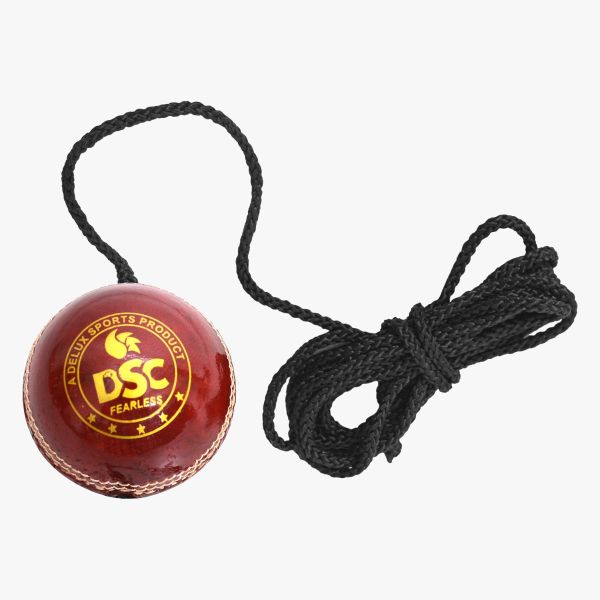 DSC Hanging Cricket Leather Ball | Solo Batting Practice Ball with Rope | Red