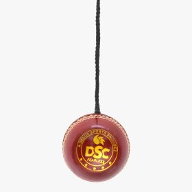 DSC Hanging Cricket Leather Ball - image 2