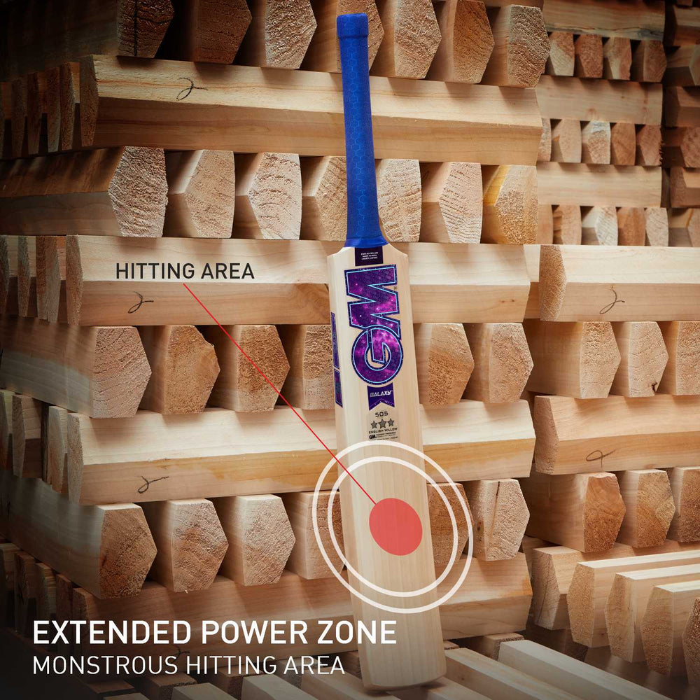 GM Galaxy 505 English Willow Cricket Bat - image 2
