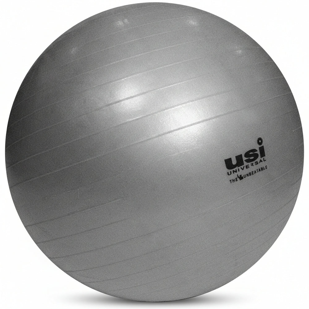 USI Universal Exercise Gym & Yoga Ball