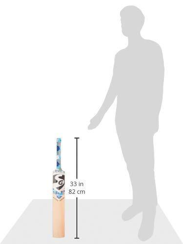 SG Players Edition Grade 1 English Willow Cricket Bat - Best Price online Prokicksports.com