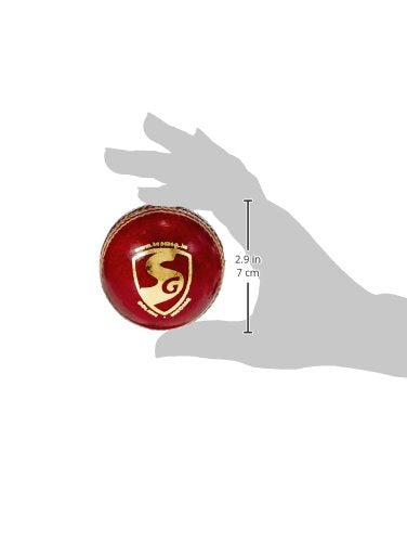 SG Seamer Leather Ball - Best Price online Prokicksports.com