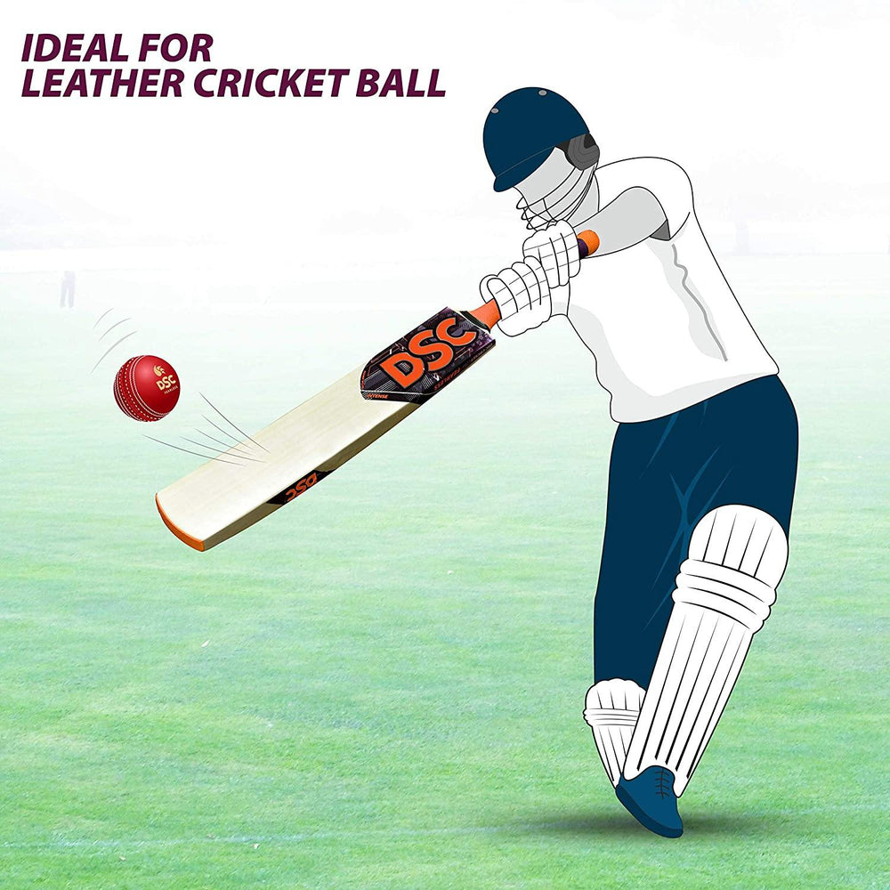 DSC Intense Zeal Kashmir Willow Cricket Bat - Best Price online Prokicksports.com
