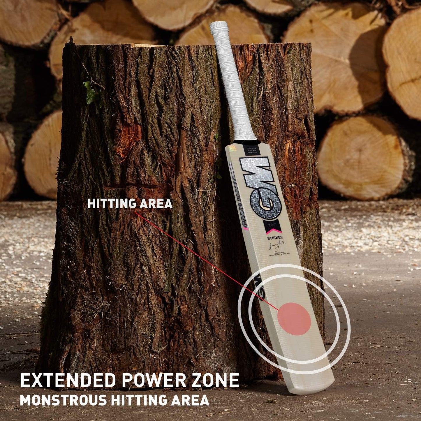 GM Icon Striker Kashmir Willow Cricket Bat - Best Price online Prokicksports.com