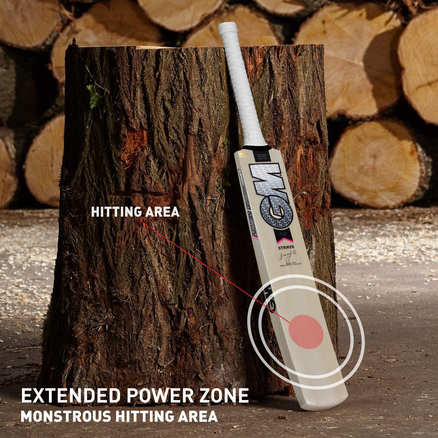 GM Icon Striker Kashmir Willow Cricket Bat - Best Price online Prokicksports.com