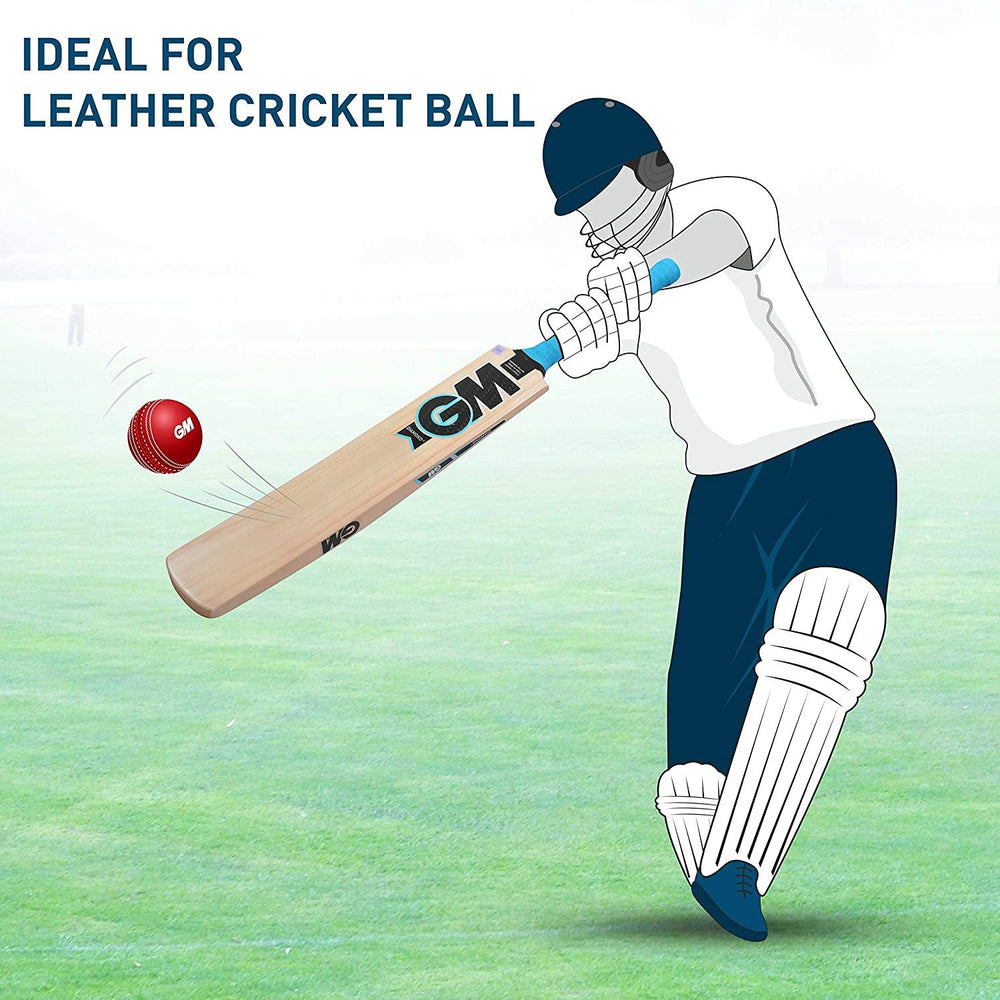 GM Diamond Striker Kashmir Willow Cricket Bat - Best Price online Prokicksports.com