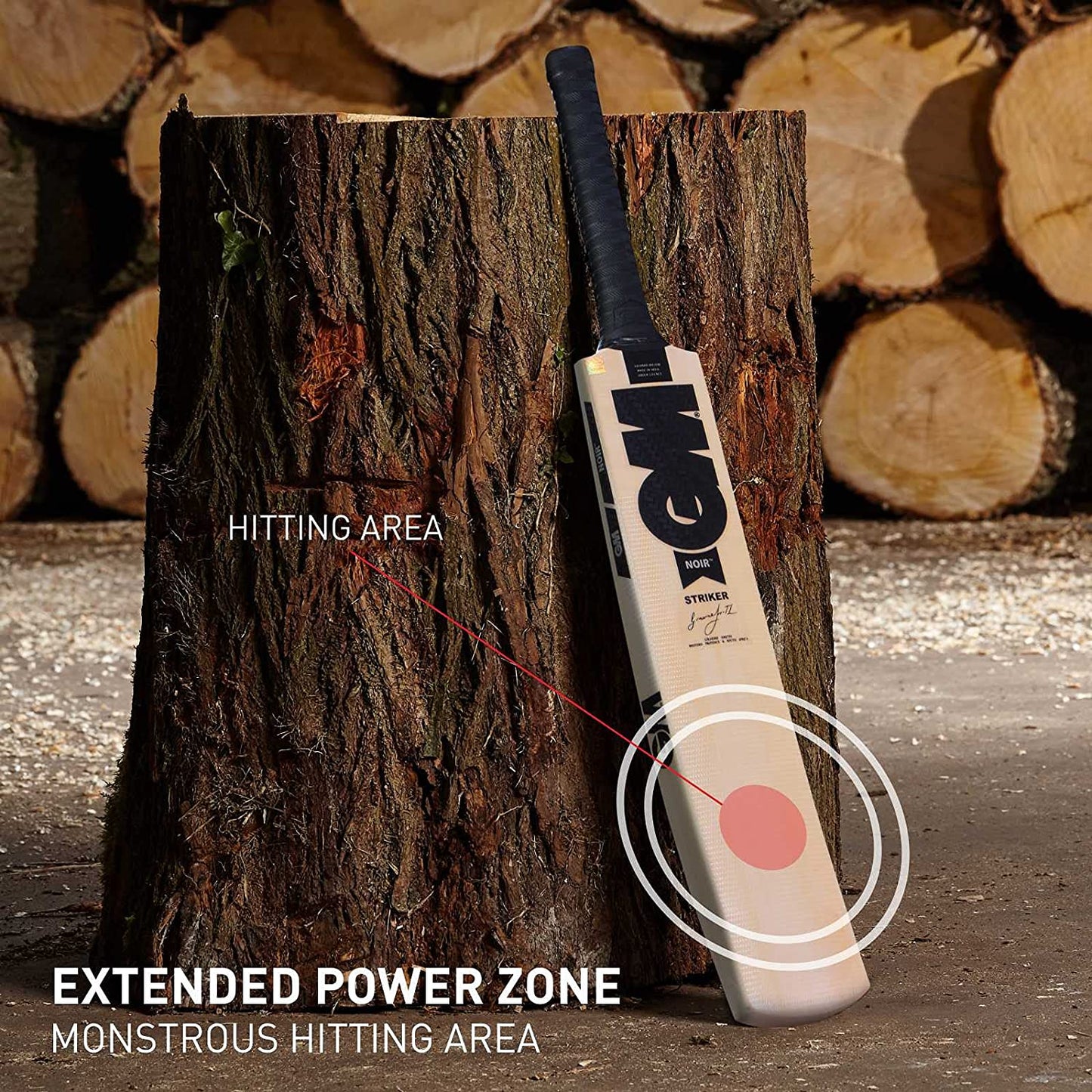 GM NOIR Striker Kashmir Willow Cricket Bat - Best Price online Prokicksports.com