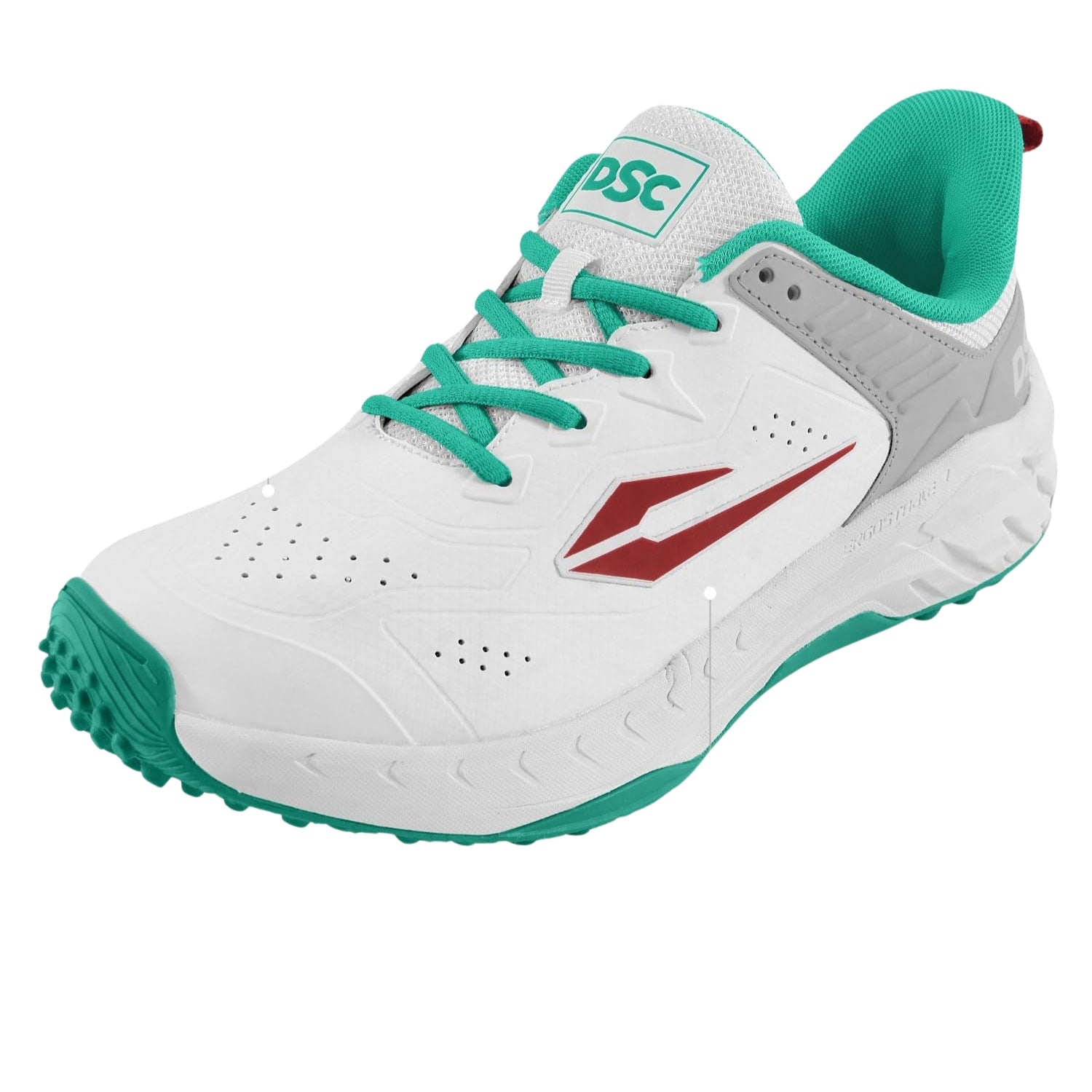 DSC Endgame Cricket Shoes Rubber for Men | Lightweight Training & Match Shoes - Best Price online Prokicksports.com