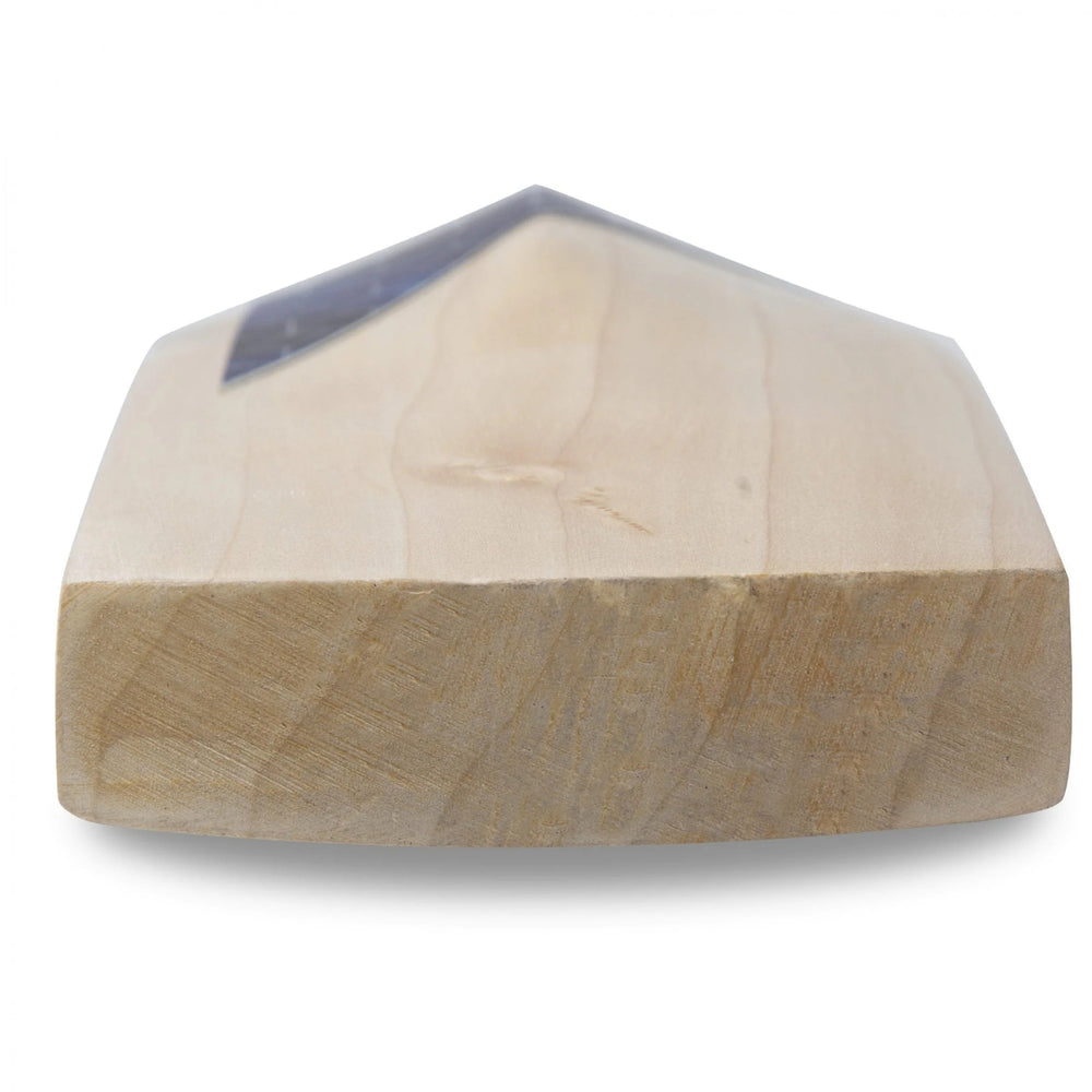 SG Cricket Bat Slammer Classic - Best Price online Prokicksports.com
