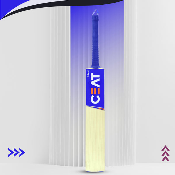 CEAT Buland English Willow Cricket Bat, Short Handle | Grade 4 Willow with Thick Edges & Classic Stroke Play