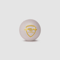 SG Everlast Tec Synthetic Cricket Ball - image 5