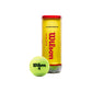 Wilson Four Championship Extra Duty Tennis Balls Dozen, 4 Cans - Best Price online Prokicksports.com
