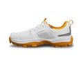 Footwear White/Dove Grey/Active Gold